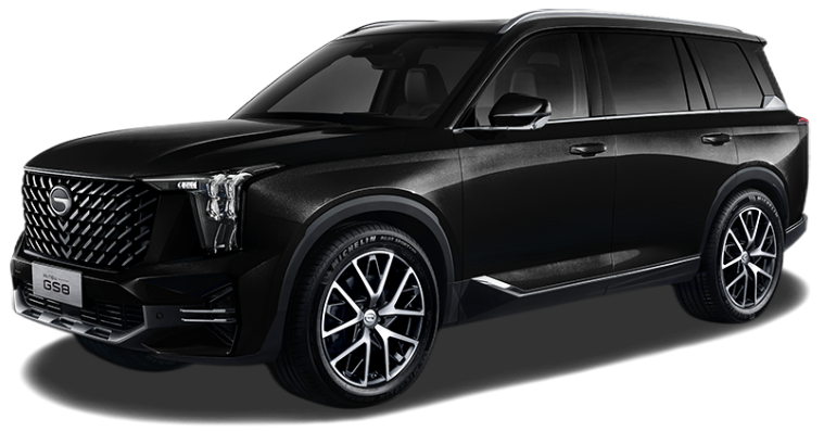 GaC GS8(дилерский)